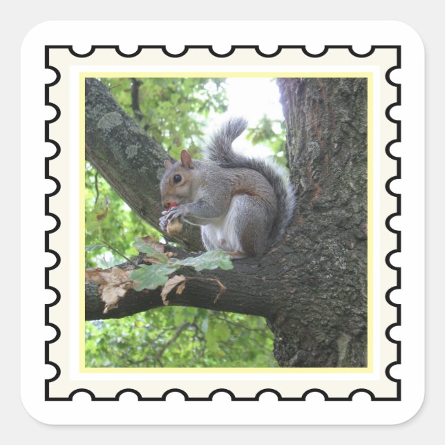 Arte de sello de ardilla gris (Anverso)