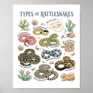 Arte de serpientes de cascabel acuarela reptiles v
