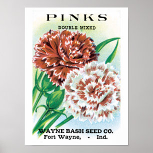 Arte de sobre de semillas vintage, flores de clave