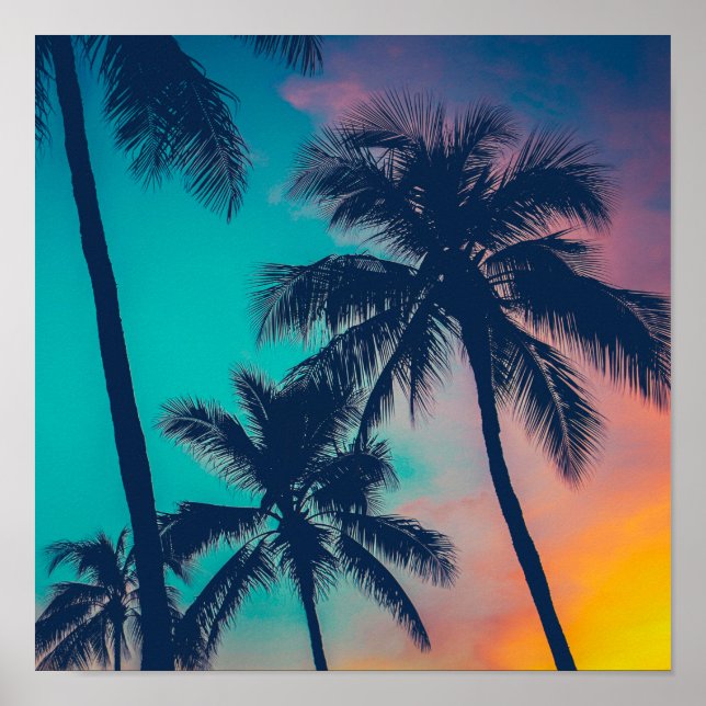 Arte de Sunset Palms (Frente)