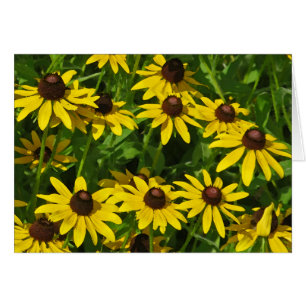 Arte de Susans de ojos negros (acuarela)