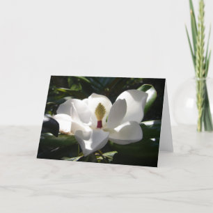 arte de tarjetas de felicitación con fotografía de