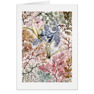 Arte de tela de seda de algas marinas