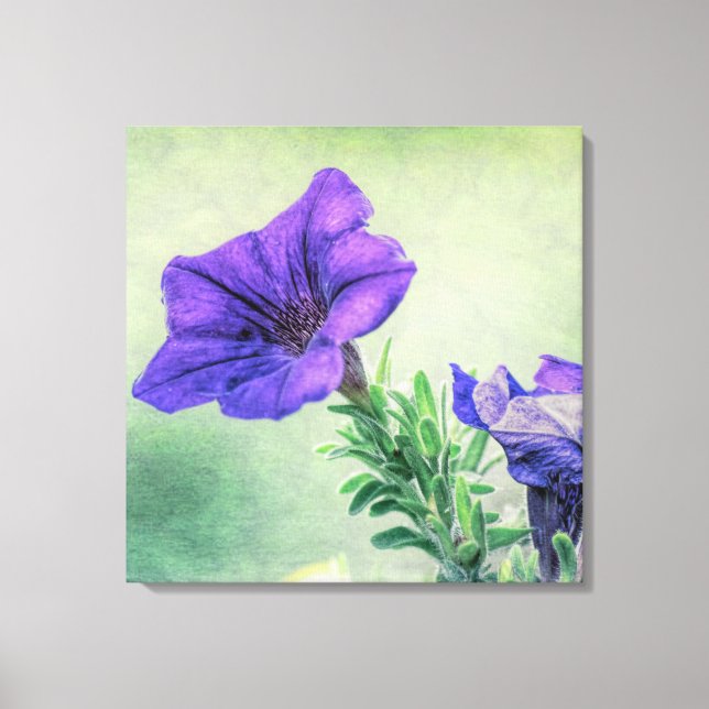 Arte de tela Petunia pintado púrpura (Anverso)