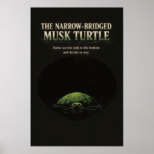 Arte de Tortuga Almizclera de Puente Estrecho