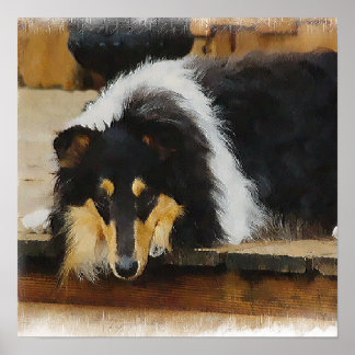 Arte de Tri Color Rough Collie