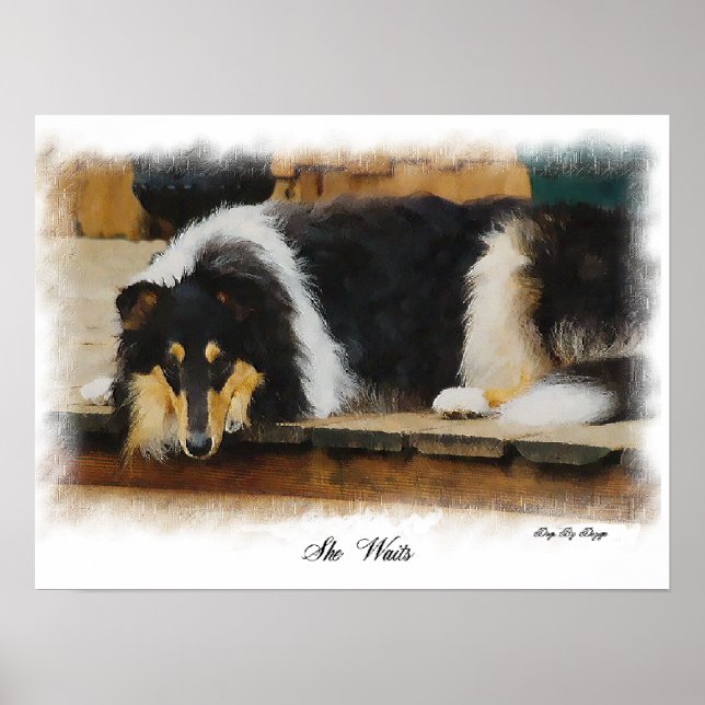 Arte de Tri Color Rough Collie (Frente)