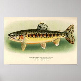 Arte de trucha dorada vintage
