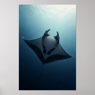 Arte de vida silvestre de raya manta deslizándose