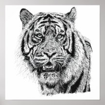 Arte de vida silvestre en blanco y negro cabeza de