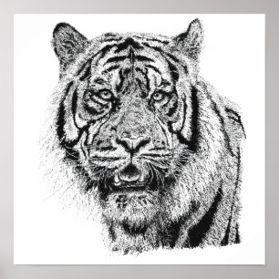 Arte de vida silvestre en blanco y negro cabeza de