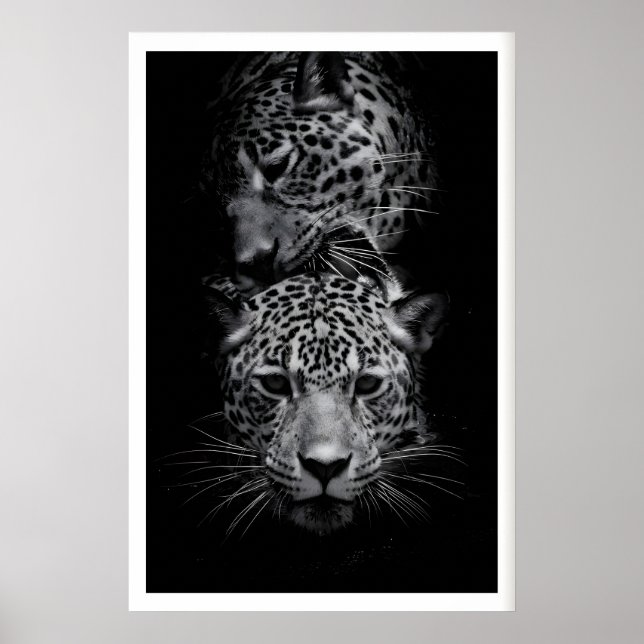 Arte de vida silvestre en blanco y negro con estam (Frente)