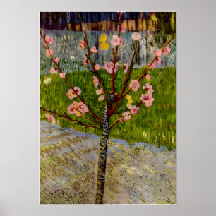 arte de Vincent Van Gogh