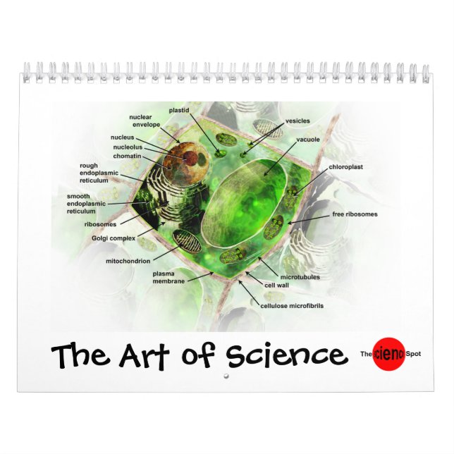 Arte del calendario de la ciencia (Tapa)