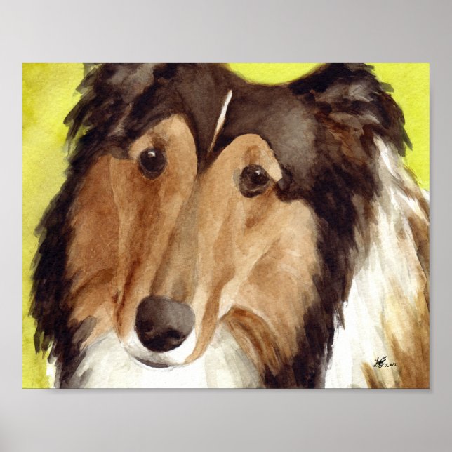 Arte del collie (Frente)