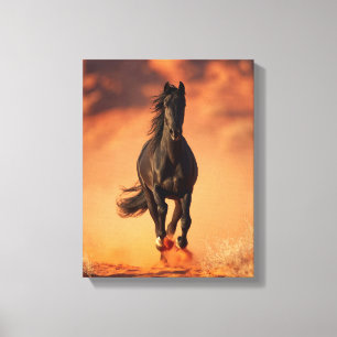 Arte del Fiery Sunset del Caballo Negro Cargando