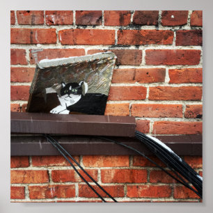 arte del gato callejero