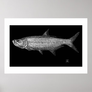 Arte del rasguño del tarpón