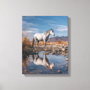 Arte del río de reflexión de la montaña del caball