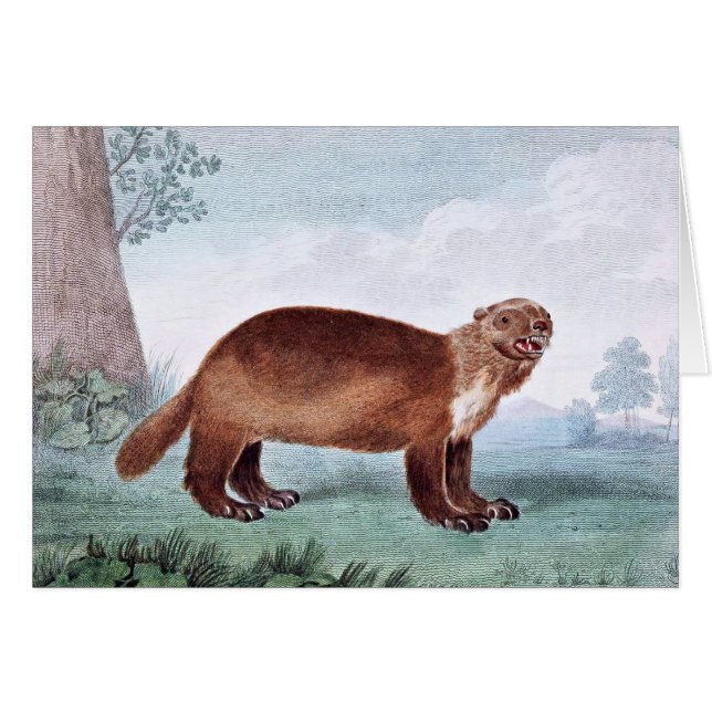 Arte del vintage de Wolverine (Anverso (Horizontal))