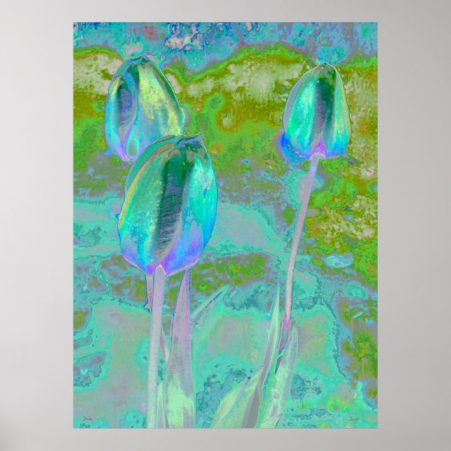 Arte digital Aqua Tulip (Frente)