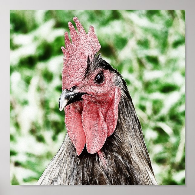 Arte digital Blue Rooster (Frente)