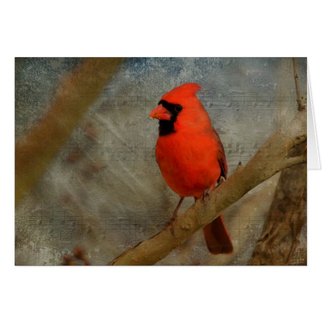 Arte digital cardinal (Anverso (Horizontal))