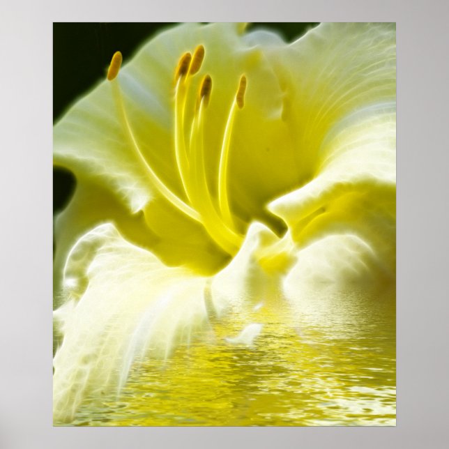 Arte digital floral (Frente)