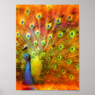 Arte digital Peacock