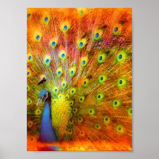 Arte digital Peacock (Frente)