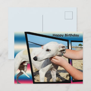 Arte Dimensional de Whippet Blanco, Tarjeta de Cum