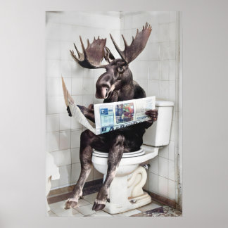 Arte divertido para pared de baño de alce, Alce en