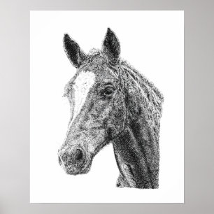 Arte ecuestre Cabeza de caballo macho semental Des