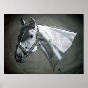 Arte ecuestre gris sobre gris
