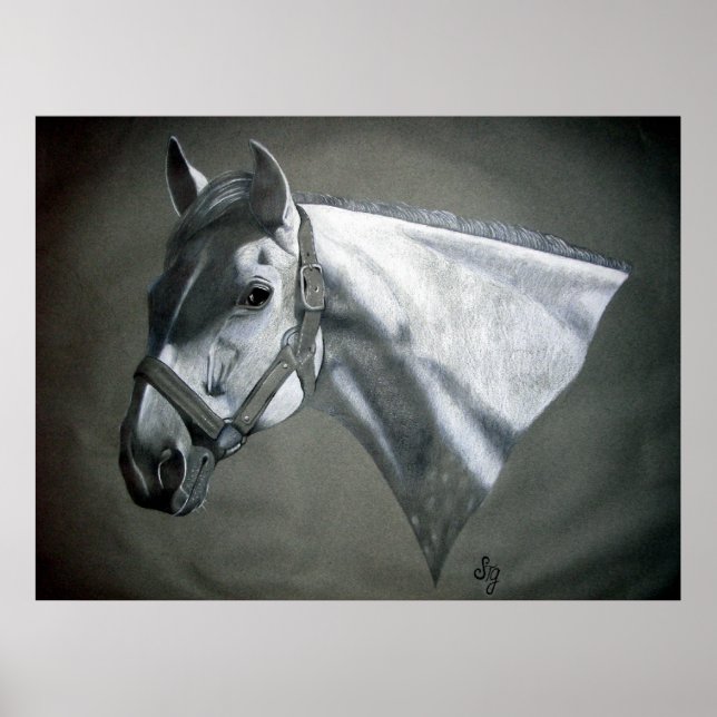 Arte ecuestre gris sobre gris (Frente)