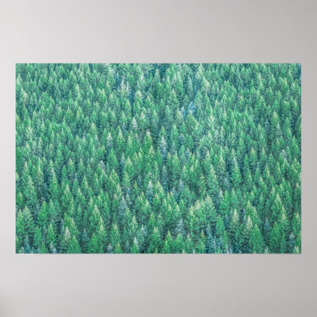 Arte Elegante de Pinos Verdes | POSTER (Frente)