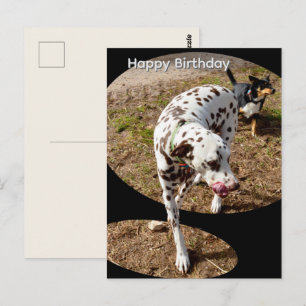 Arte emergente de dálmata, tarjeta postal de cumpl