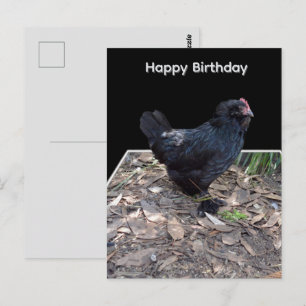 Arte emergente de gallina negra, tarjeta postal de