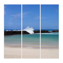 Arte en el Muro de Triptych en Hawái