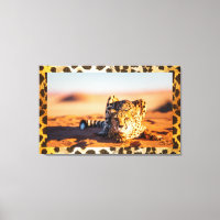 Arte en el muro del desierto Cheetah de Namibia