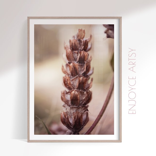 arte en la pared de una casa de campo femenina aco (Subido por el creador)