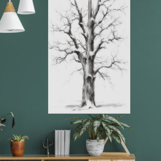 arte en la pared del reino del hielo