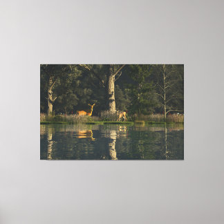 Arte en lienzo de 60"x40" con imagen de "Asustado"