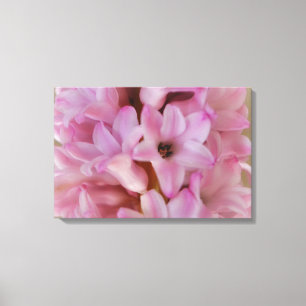 Arte en lienzo de flor de jacinto rosa bonita de p