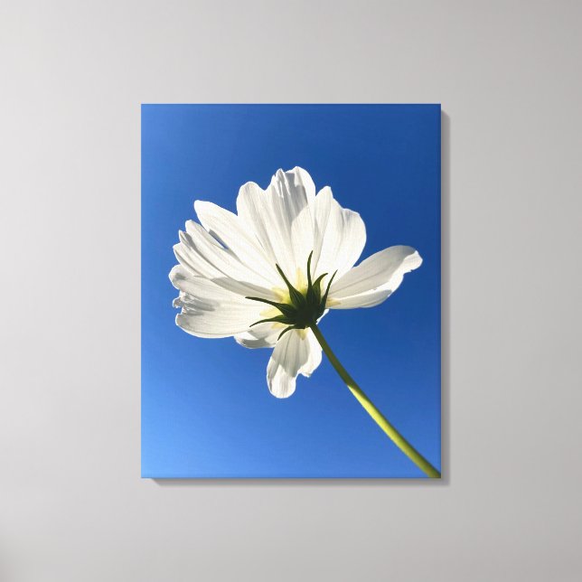 Arte en lienzo de flor silvestre blanca (Anverso)