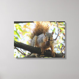 Arte en lienzo de fotografía de ardilla linda sost