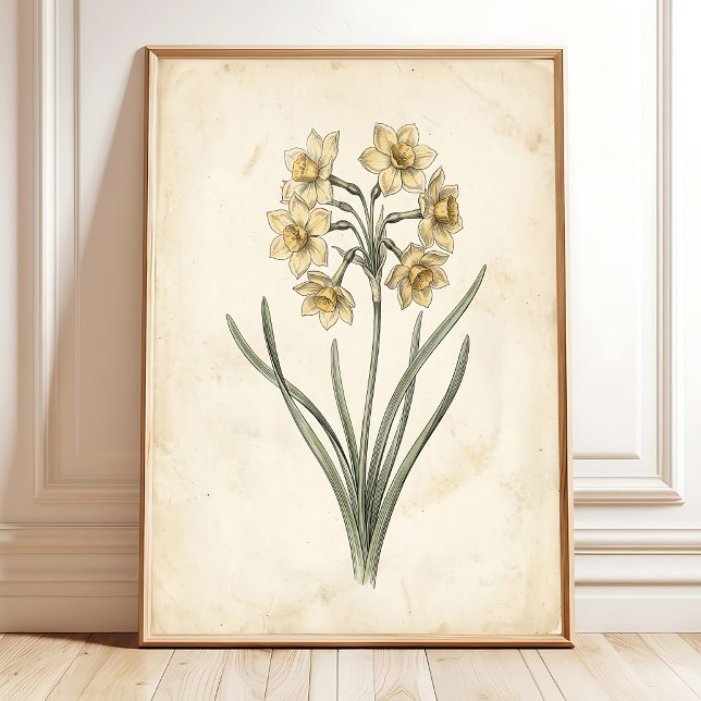 Arte en lienzo de junquillo botánico antiguo vinta (Subido por el creador)