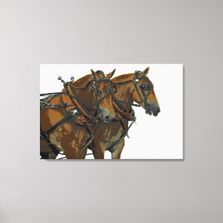 Arte en lienzo estirado de equipo de caballo de ti