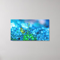 Arte en lienzo - Hierba con gotas de agua