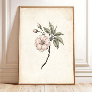 Arte enmarcado de flor de cerezo vintage